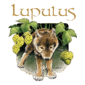 Lupulus Krush | Tripel 8,5%